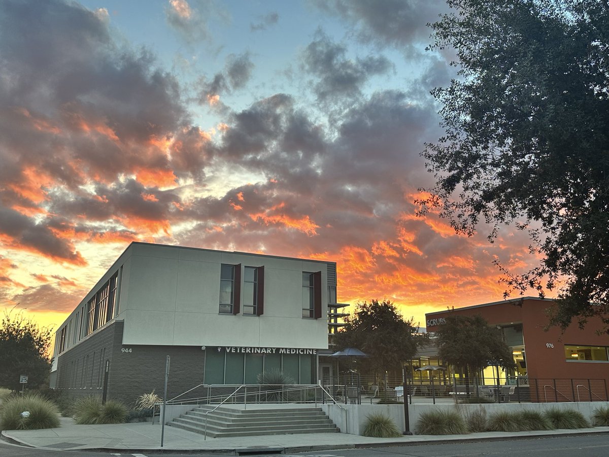 RogersLabUCD's tweet image. Our department @ucdavisvetmed @ucdavis is hiring! We welcome research that diversifies or complements existing strengths in gastrointestinal, neuroimmune, musculoskeletal, cardiorespiratory systems and/or developmental biology. @SocDevBio @ASCBiology