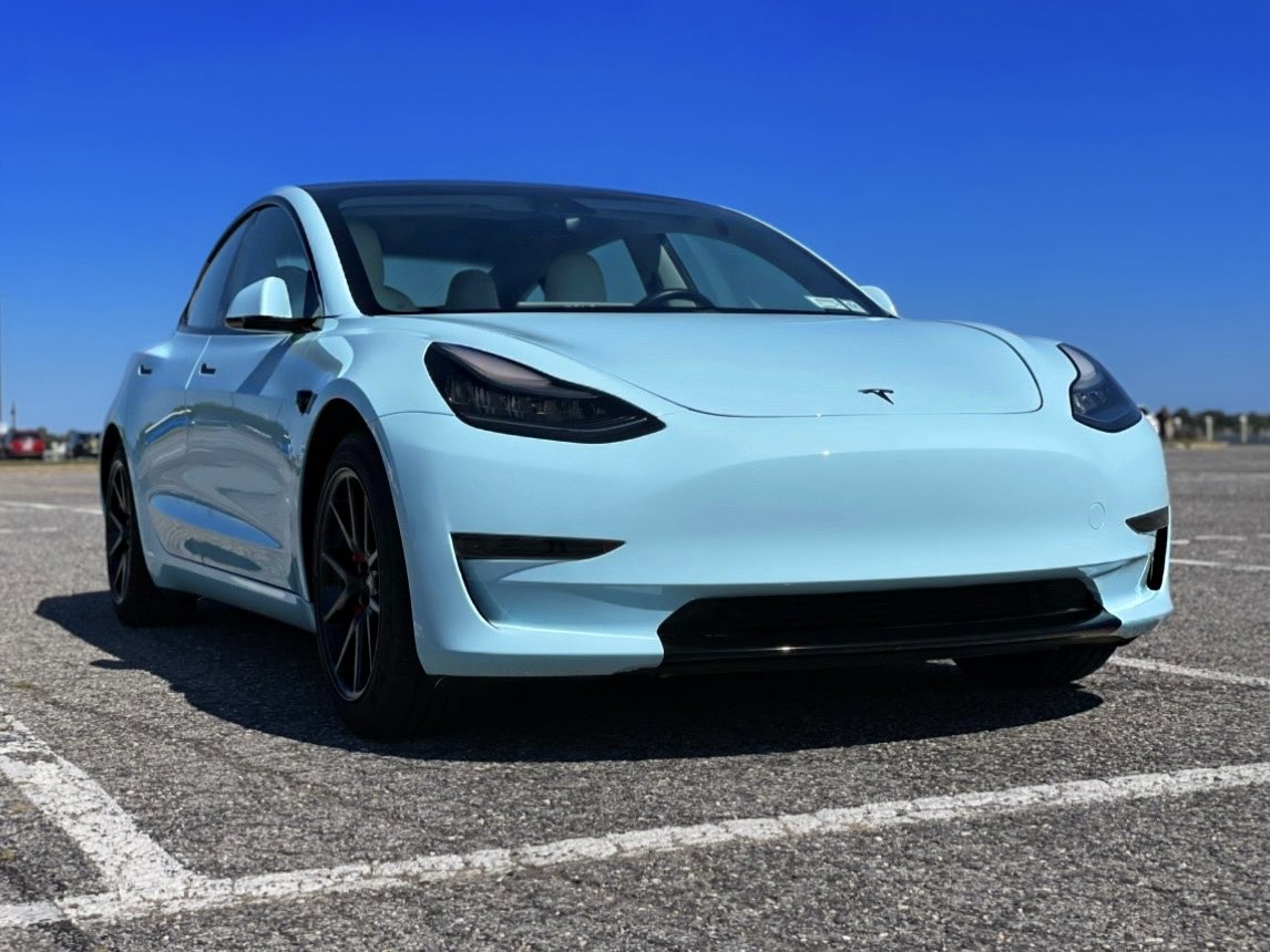 Raptor 【=◈︿◈=】 tweet media