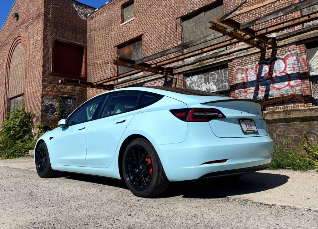 Raptor 【=◈︿◈=】 tweet media