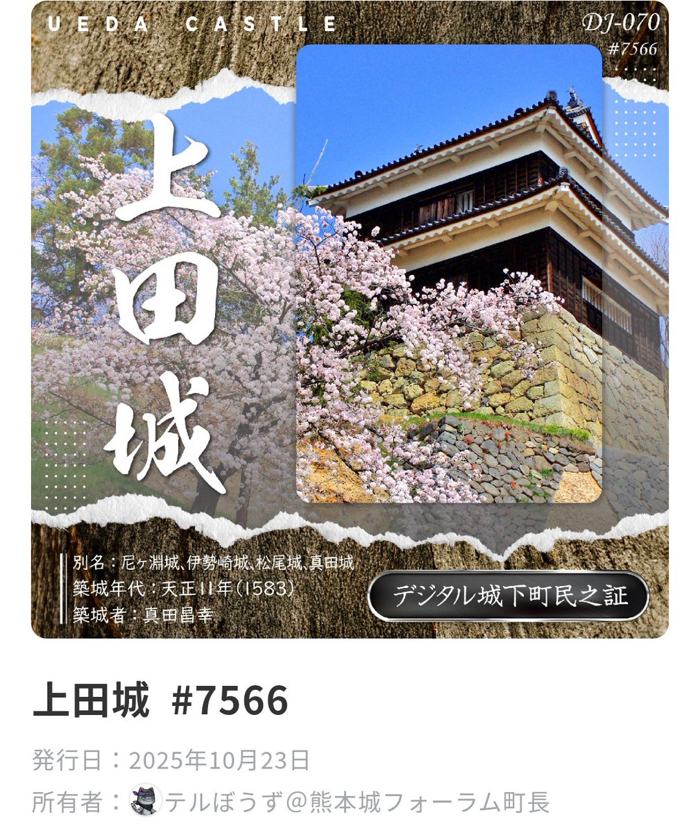 城と城下町 名古屋城 (図説 日本の城と城下町④) | 名古屋城調査研究