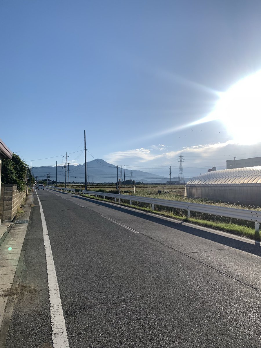 トシページ Amazon | オスリッチダイヤ オストリッチ 高級DXトレーシング