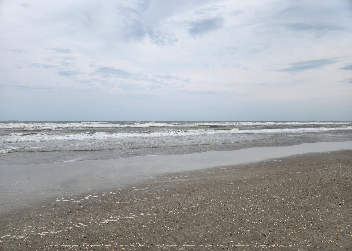 Florida Sea Watch tweet media