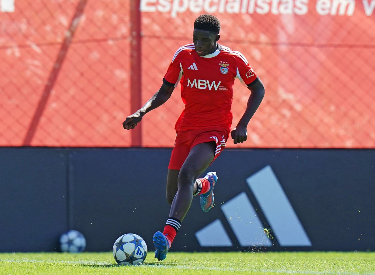 Ferro (@fferreiraferro) on Twitter photo 