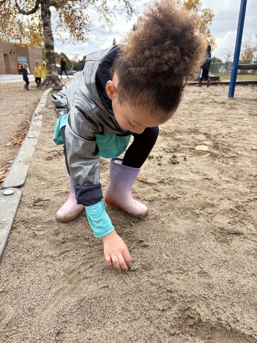MissAdamsSMY's tweet photo. #SoFocused in the Fall G loves playing in the sand. https://t.co/RI6Kwz1sBN