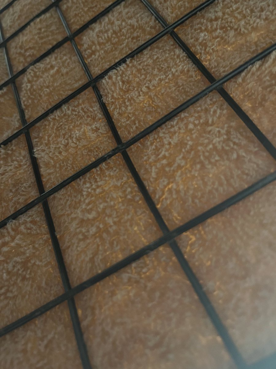 MysticMacht's tweet image. Watched Technology Connections on humidifiers the other day and how theyre lil scam boxes. 

Made one in 60 seconds, and it’s been out performing my bought unit since. 😅

Outside currently at 35%, before testing, the room was about 40%

It’s now a comfortable 50%

#humidifiers