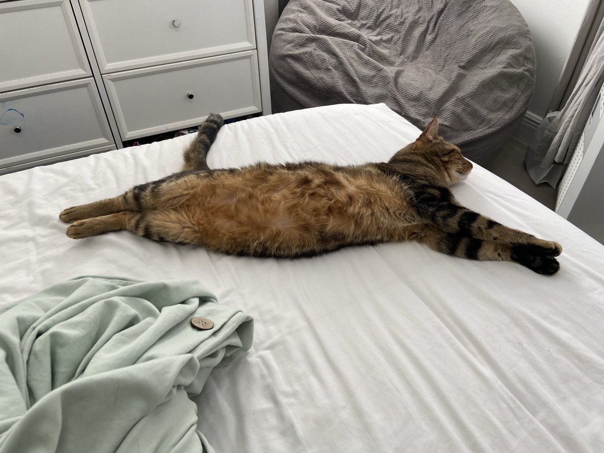 💣💥 tweet media