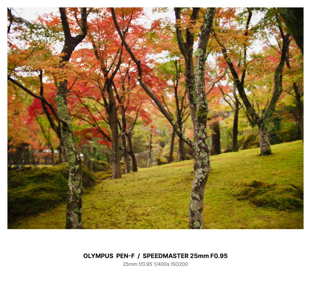  arty ⁸₂₂🎸📷🍜🍶 on X