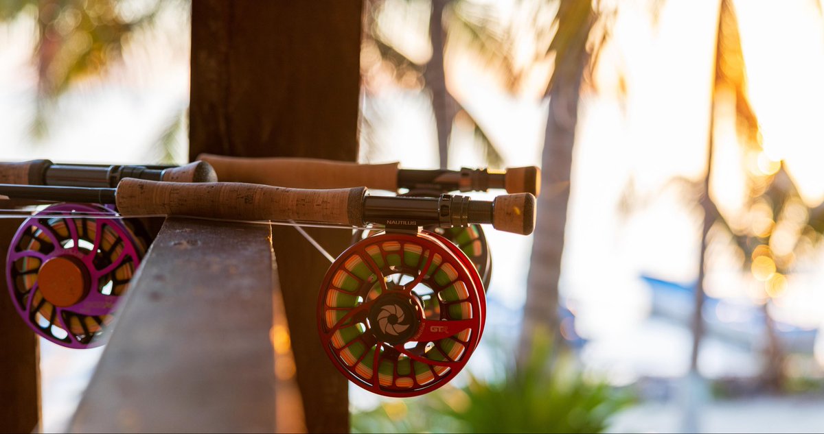 Nautilus Reels tweet media