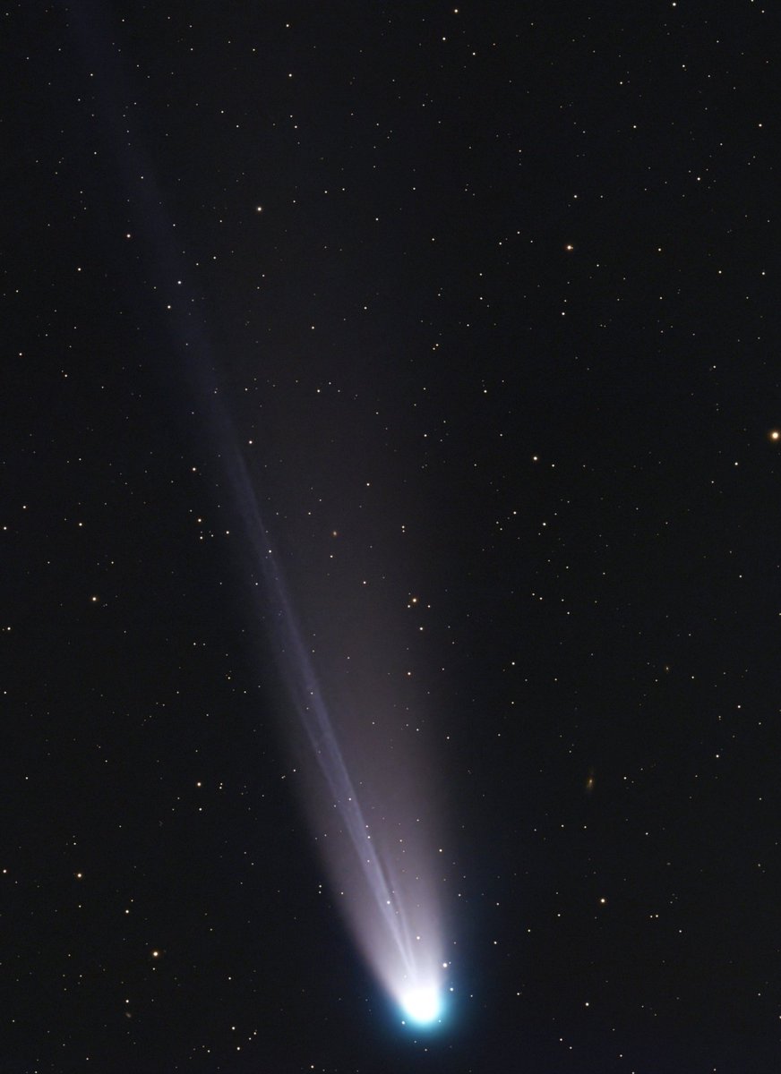 EnricCardedeu tweet media