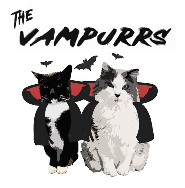 Timothy&Sebastian tweet media