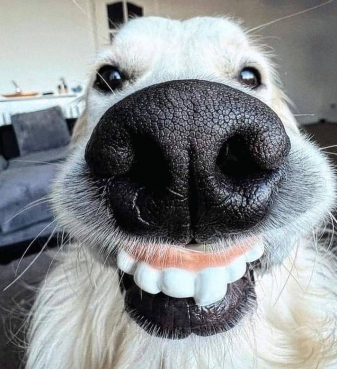 Me checking my wallet after I hit a 100X on a memecoin