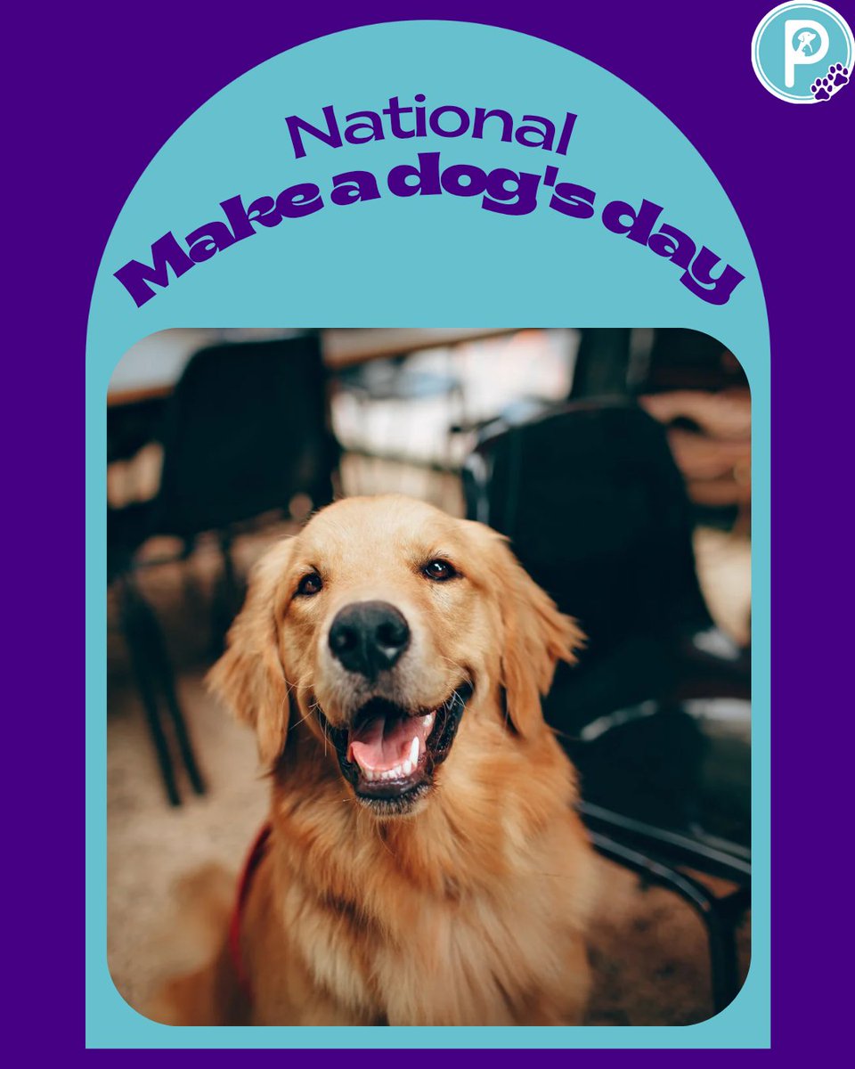pawlidays365's tweet image. Dogs make our days brighter, today, it’s our turn to return the favor. 💙🐾  
Celebrate #NationalMakeADogsDay by giving your pup extra cuddles, treats, and love!  
#Pawlidays #DogLovers #PetCare #FurryFriends #DogsofTwitter #PetHolidays #MakeADogsDay #SpoilYourDog