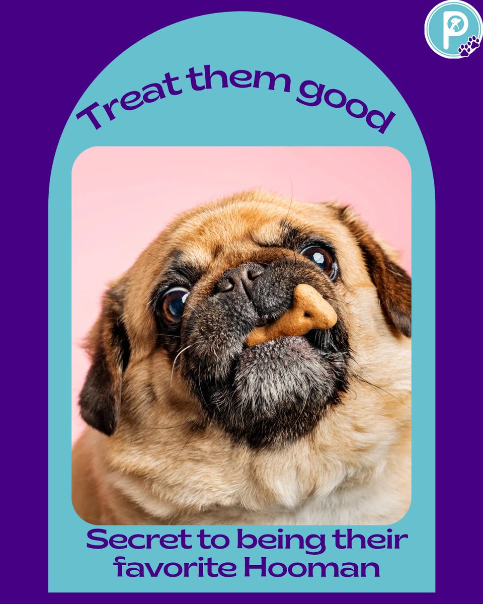 pawlidays365's tweet image. Dogs make our days brighter, today, it’s our turn to return the favor. 💙🐾  
Celebrate #NationalMakeADogsDay by giving your pup extra cuddles, treats, and love!  
#Pawlidays #DogLovers #PetCare #FurryFriends #DogsofTwitter #PetHolidays #MakeADogsDay #SpoilYourDog