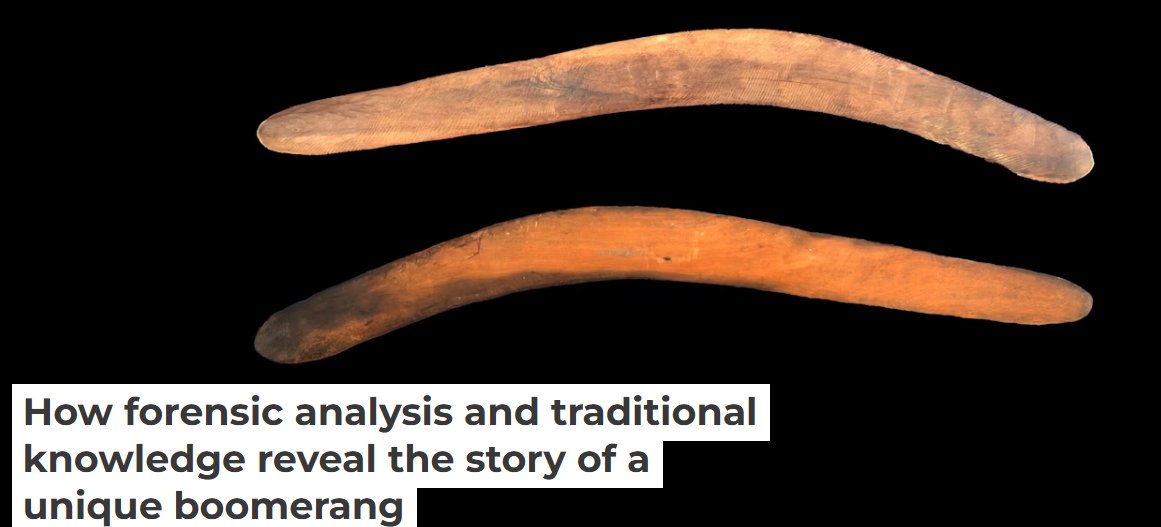 Australian Archaeology tweet media