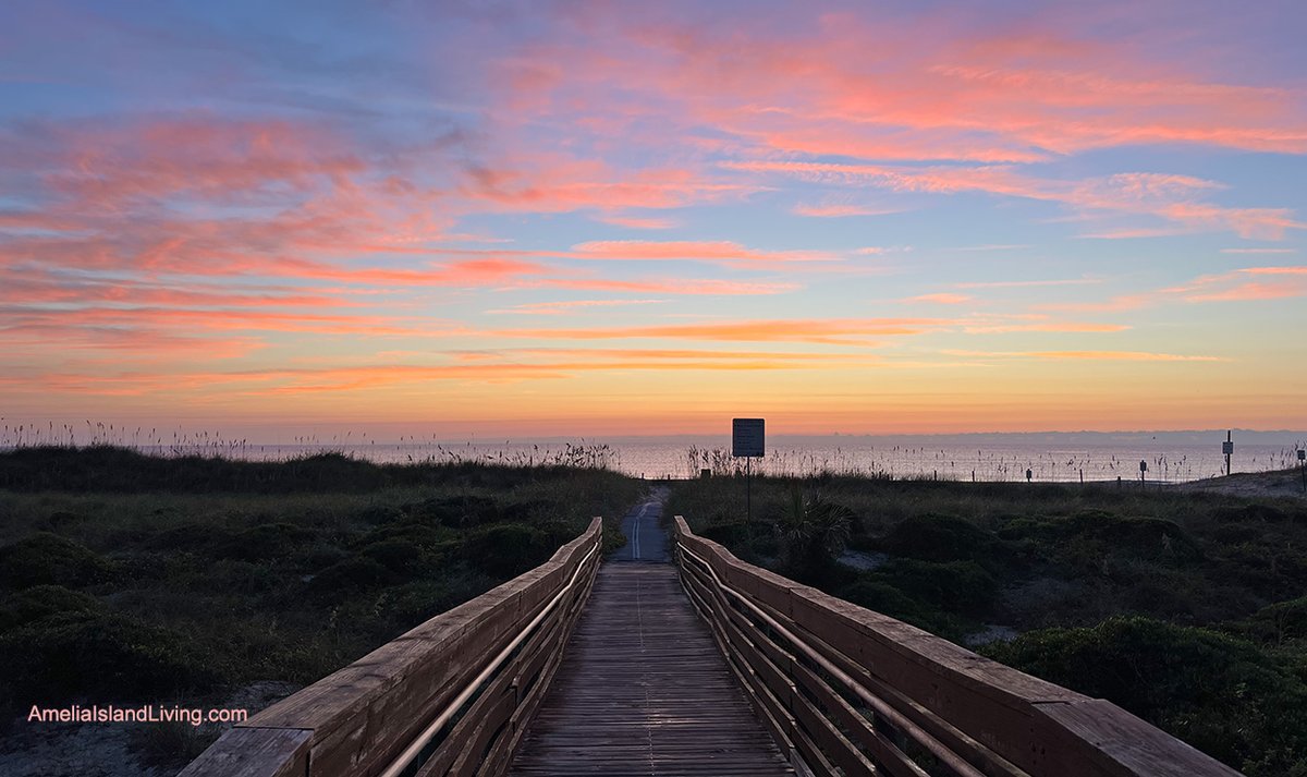 Florida32034's tweet photo. Dune walkover approaching the Atlantic Ocean beachfront just before day’s dawn. #AmeliaIsland #NassauCountyFL. Love fall’s cooler, less humid weather here around the Florida-Georgia border. https://t.co/b0fZZMtFbJ