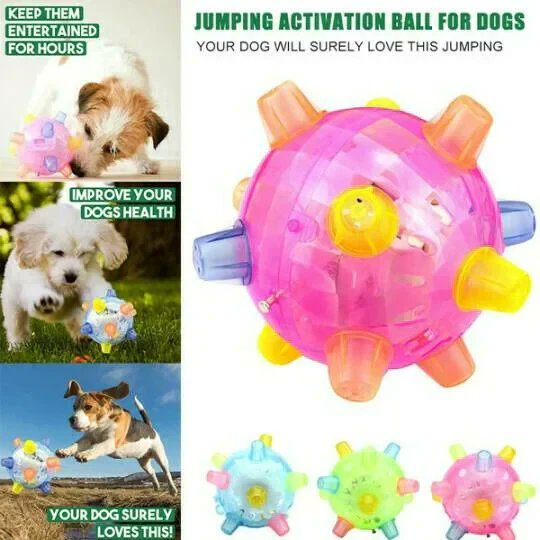 WagginTailsTnt's tweet image. Shop now for bouncing fetch balls that keep energy high and tails wagging nonstop!

 waggintailstreatsnthings.com

#FetchFun #DogToys #ShopNow #ActiveDog #PlayAllDay #HappyPup #DogLife #FurryFriend #PetSupplies #DogJoy