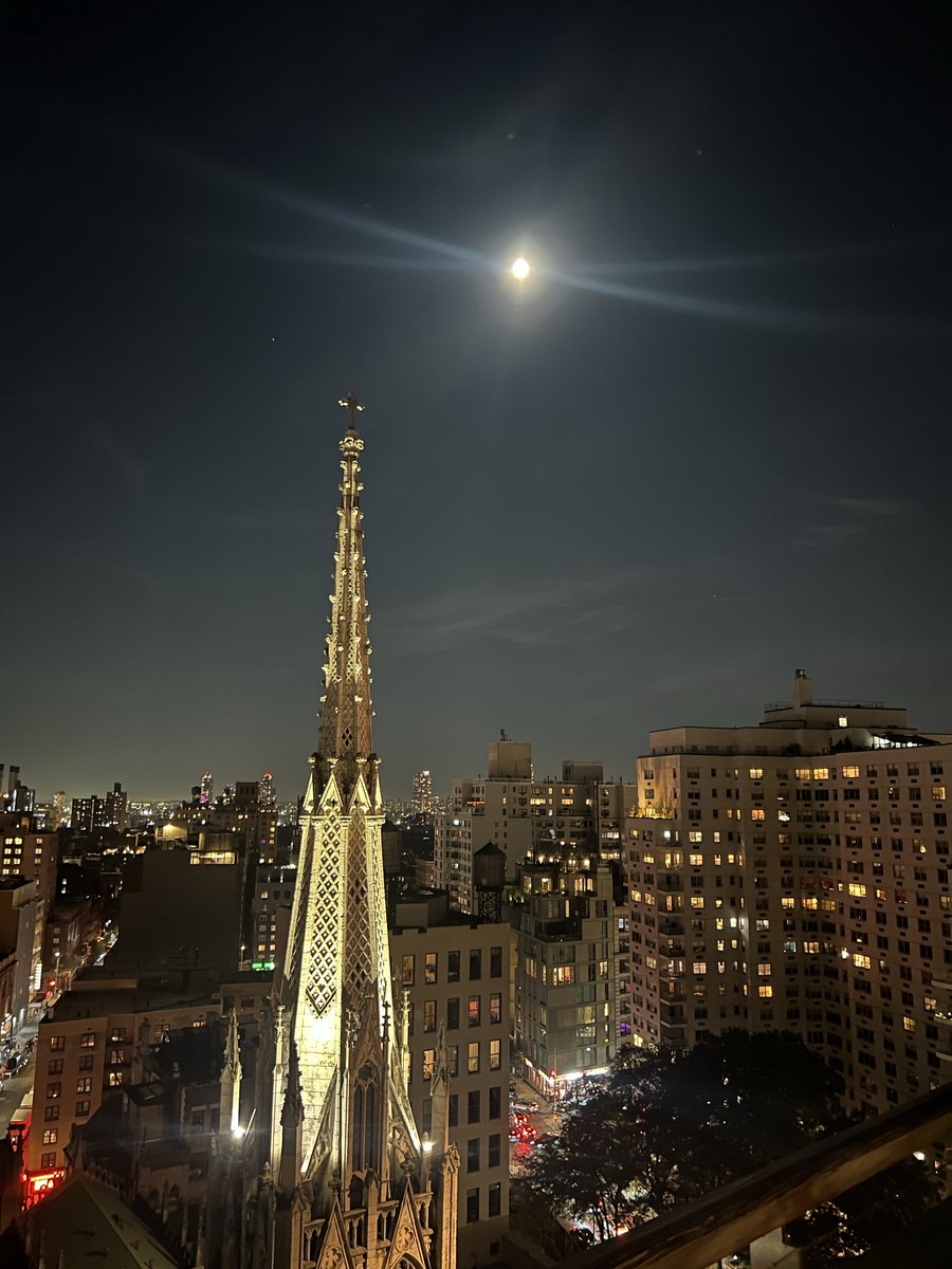coltonthree's tweet image. scrolling social media has damaged my brain in ways that are genuinely so difficult to articulate here’s some photos from nyc