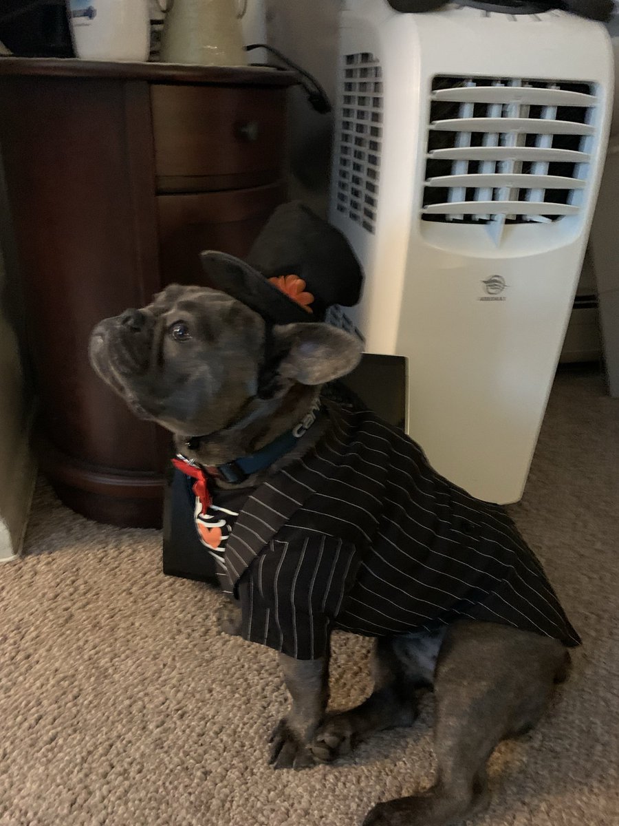 StrungUp_System's tweet image. Greyson’s ready for Halloween!