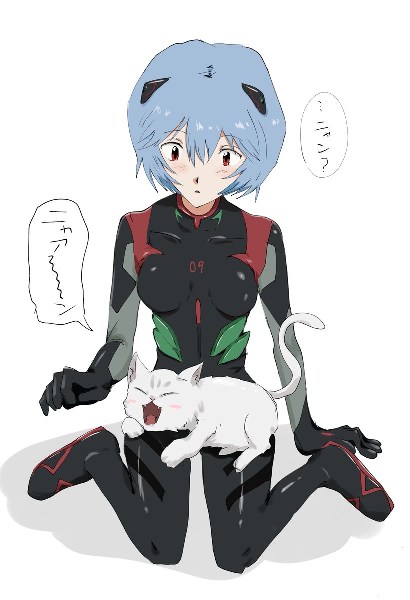 アヤナミレイ🐱