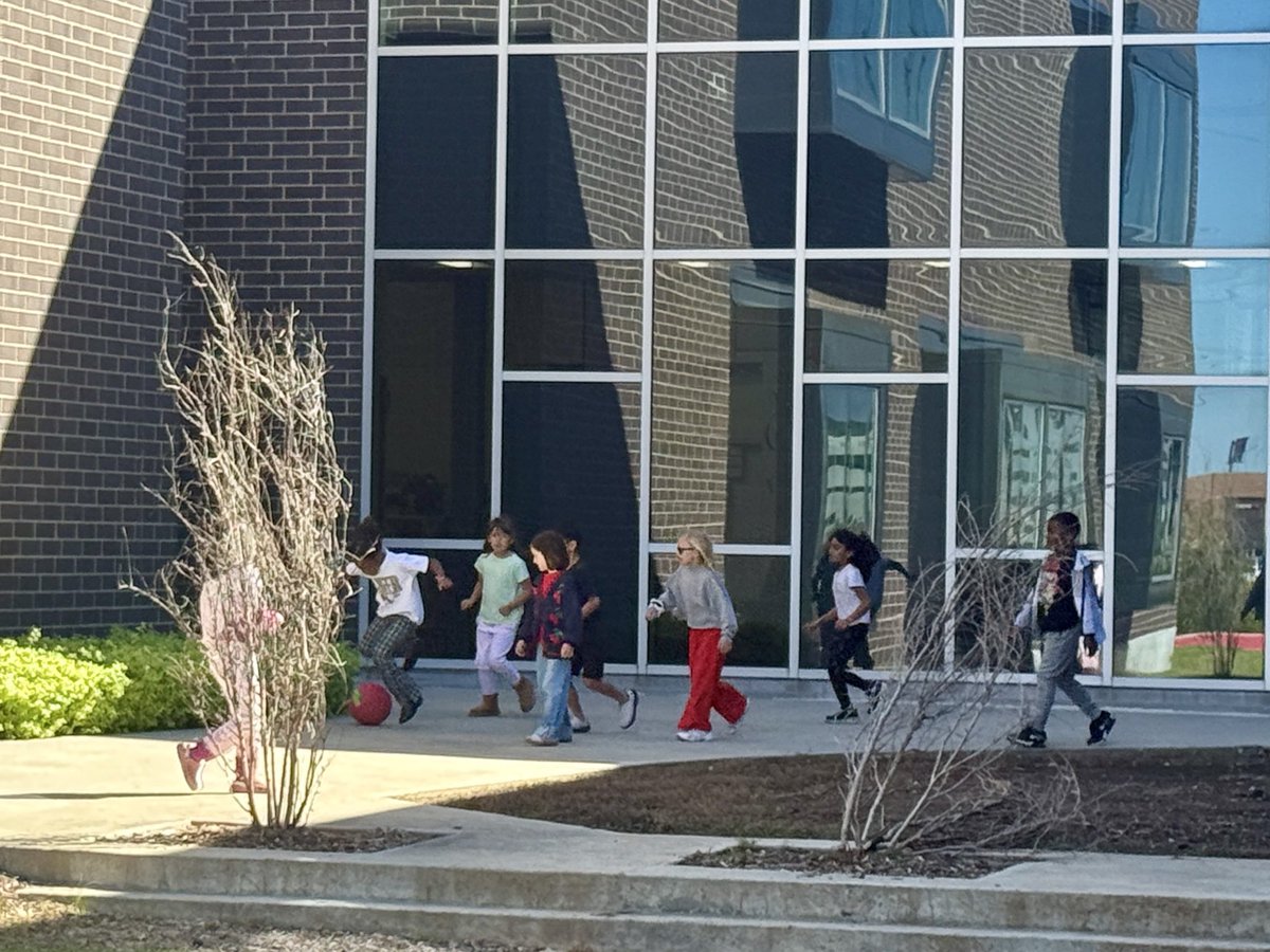 Mrs. Wiseman’s Classroom tweet media