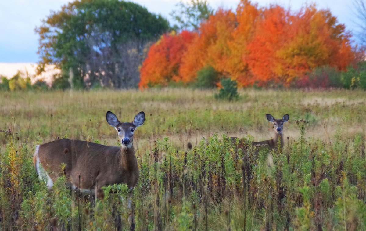 At <a href="/SandbanksPP/">Sandbanks Provincial Park</a>  oct 21 <a href="/OntarioParks/">Ontario Parks</a>  <a href="/weathernetwork/">The Weather Network</a>