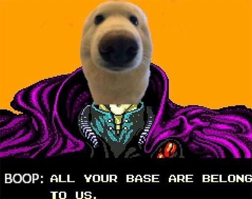 boop tweet media