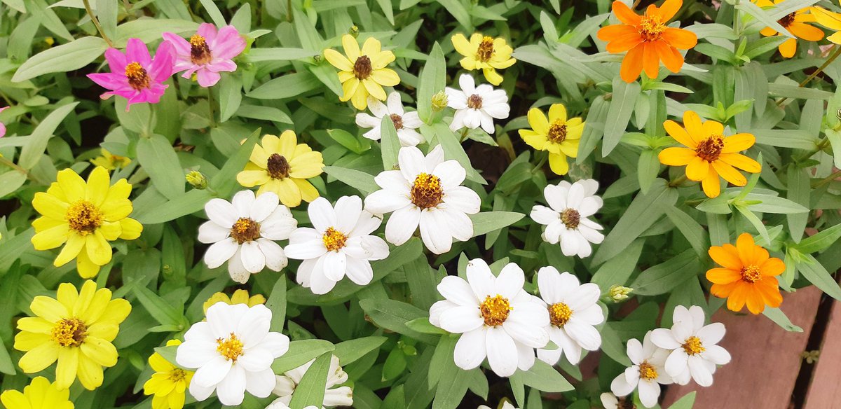 今日は♪…何色の自分でいくか？楽しめばいい♪