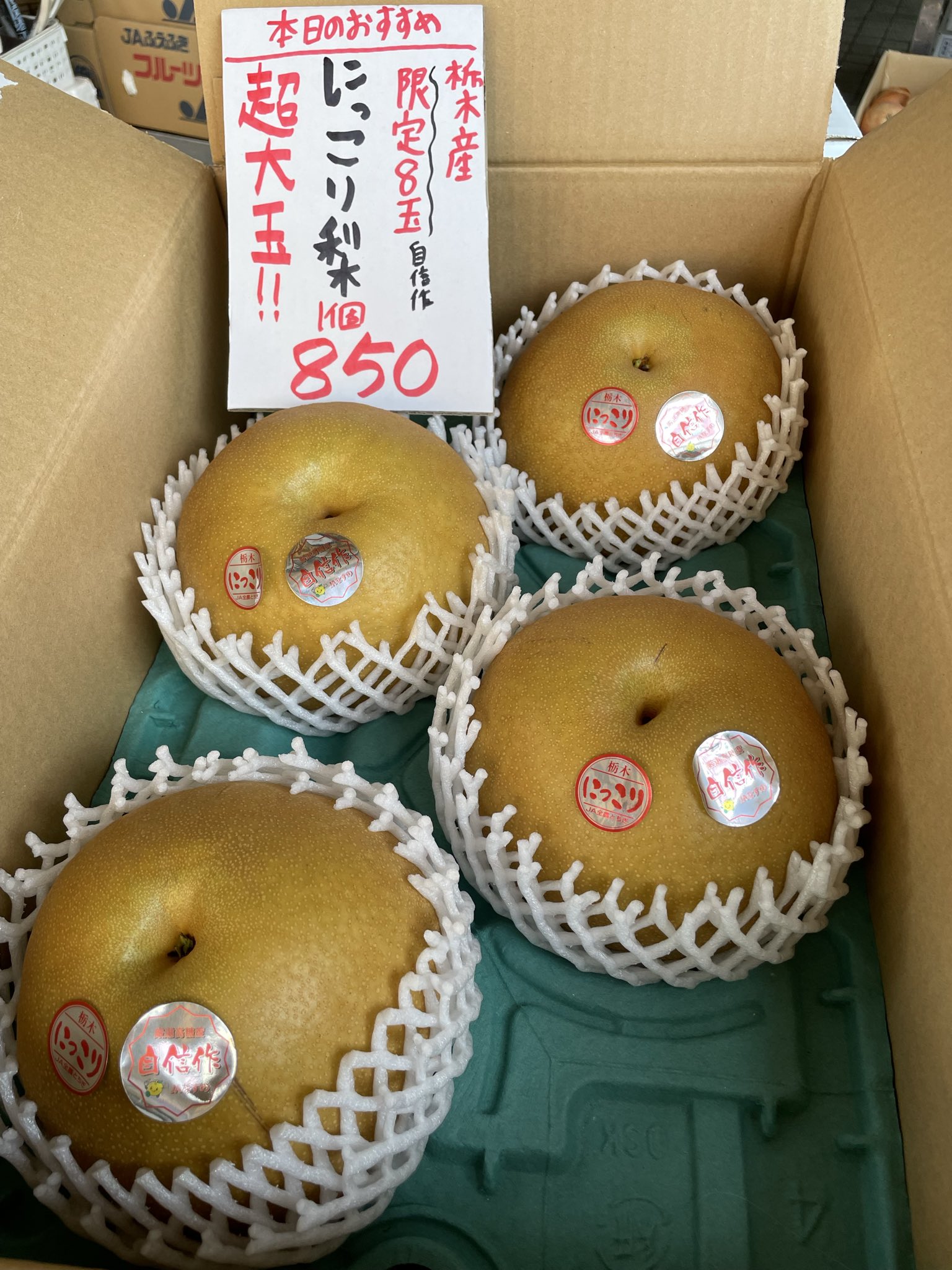 砂町銀座 魚勝 on X: 