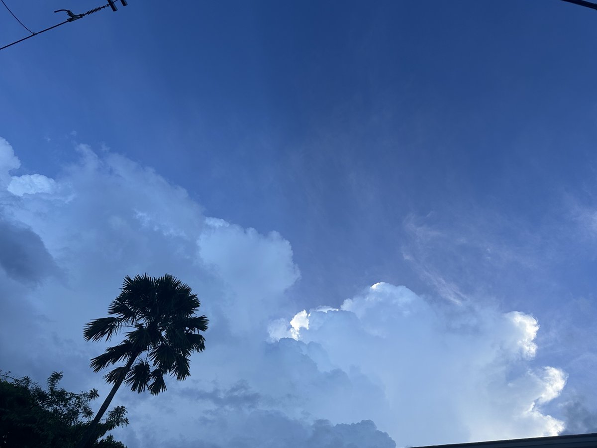 I ran a good 5 miles today, around 6am. 
Just to get my shit together. 

Running is my happy place. 
It is the only time that my mind goes blank,
and I have 100% complete access to myself. 
My thoughts. 
My heart. 
Where I can improve. 

From being a hobby, it is now a necessity.