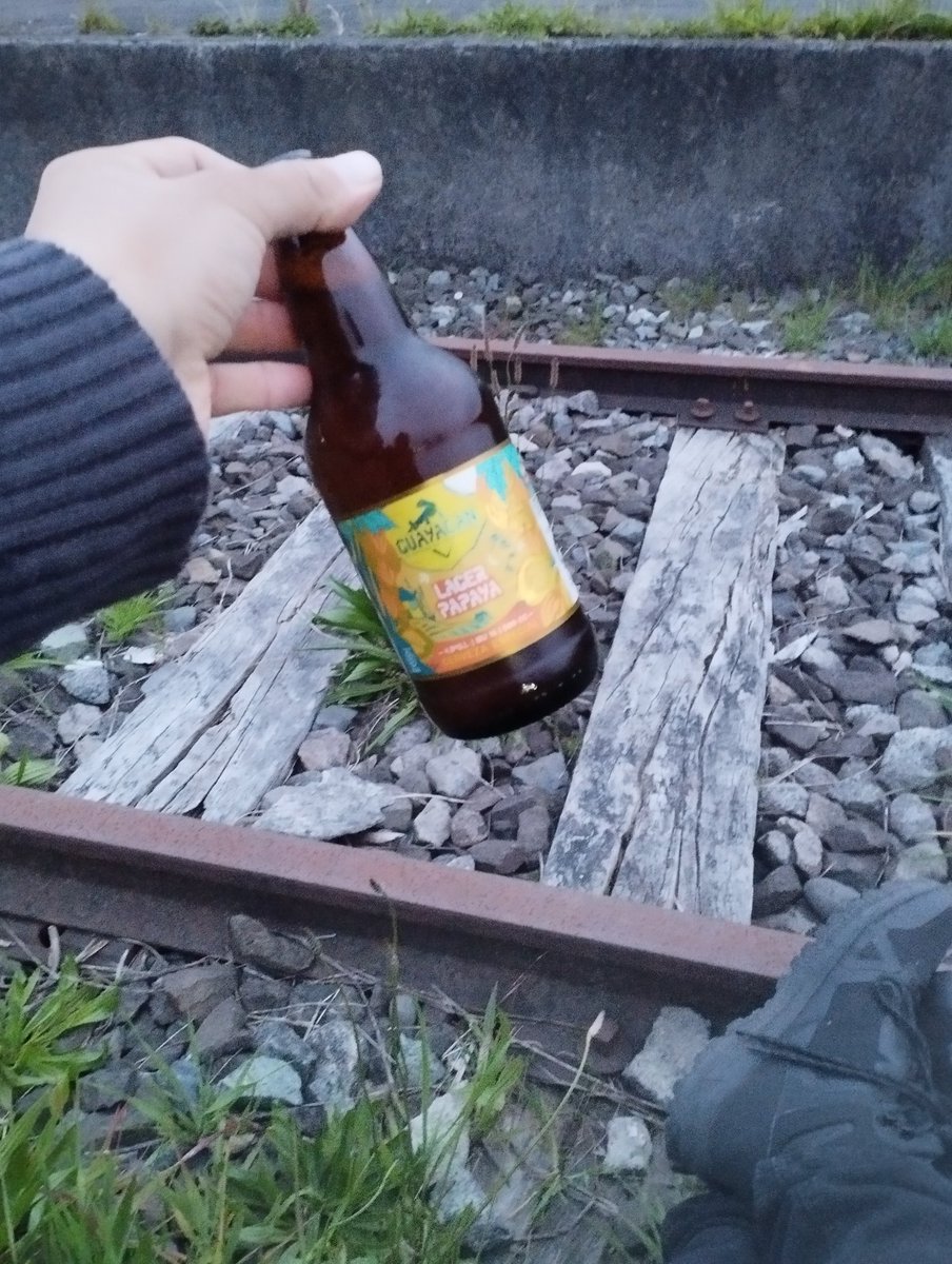 Brindando en las vías del tren 🚆