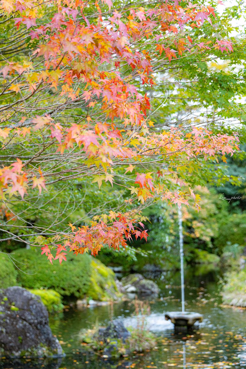 kzm_photo (@kzm_photo) / Posts / X