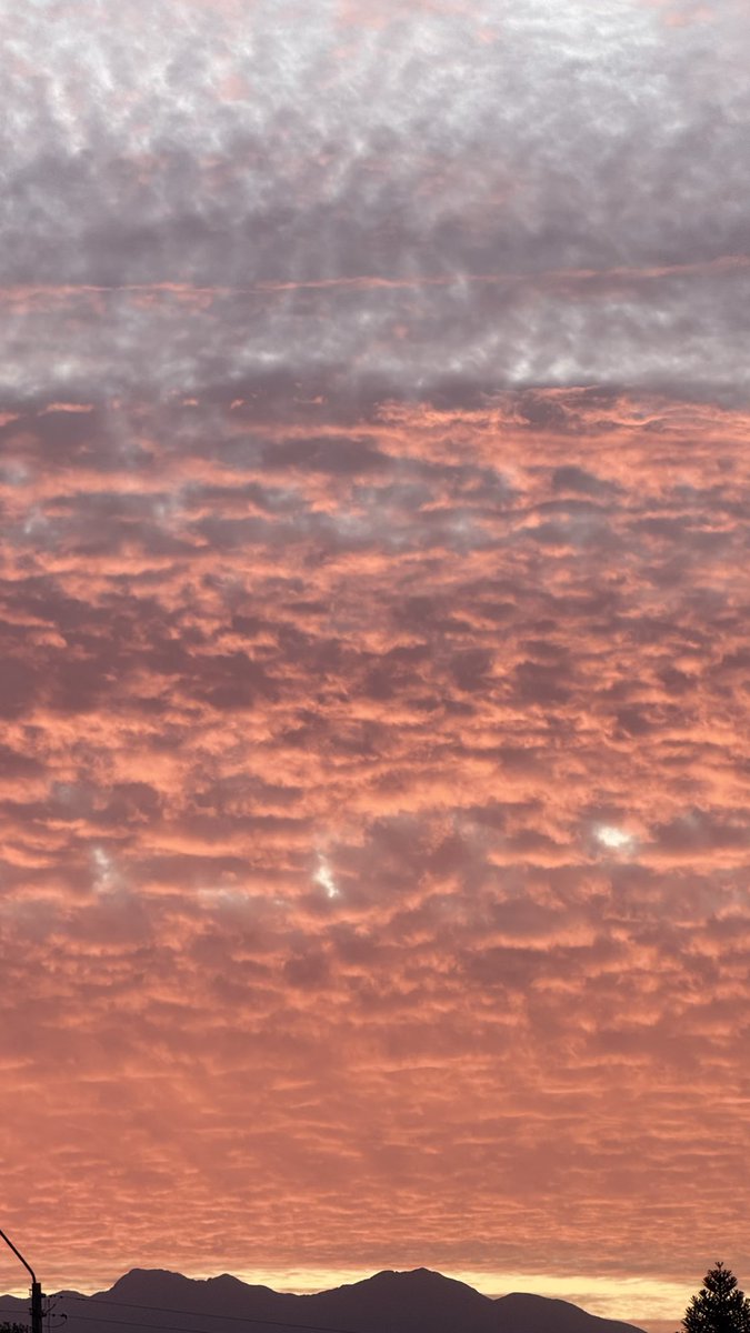 _catalinacm's tweet image. Atardecer 🧡