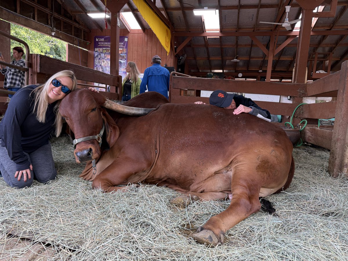 Afternoon gM 🌞

Spent the morning cuddling cows at the Surabhi Cow Sanctuary this morning on a press trip to California’s Tri-Valley. It was pretty cool! 😎