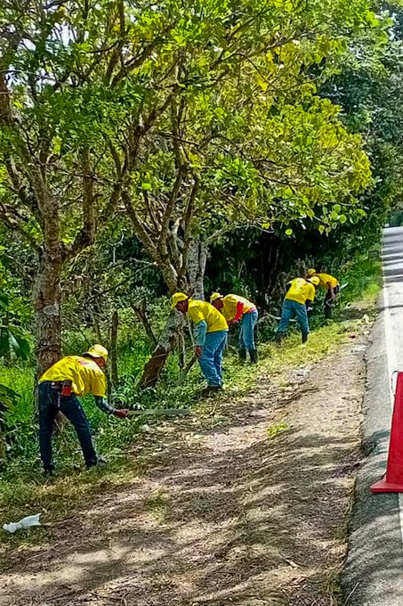 First image shows several workers in yellow uniforms and helmets using tools to trim vegetation along a roadside under green trees with a traffic cone visible nearby. Second image depicts workers in yellow outfits cutting tall grass beside a road near a fenced area with a gate and building in the background under partly cloudy skies. Third image features workers in yellow attire trimming overgrown grass along a roadside with green fences traffic cones and scattered vegetation under a cloudy sky.