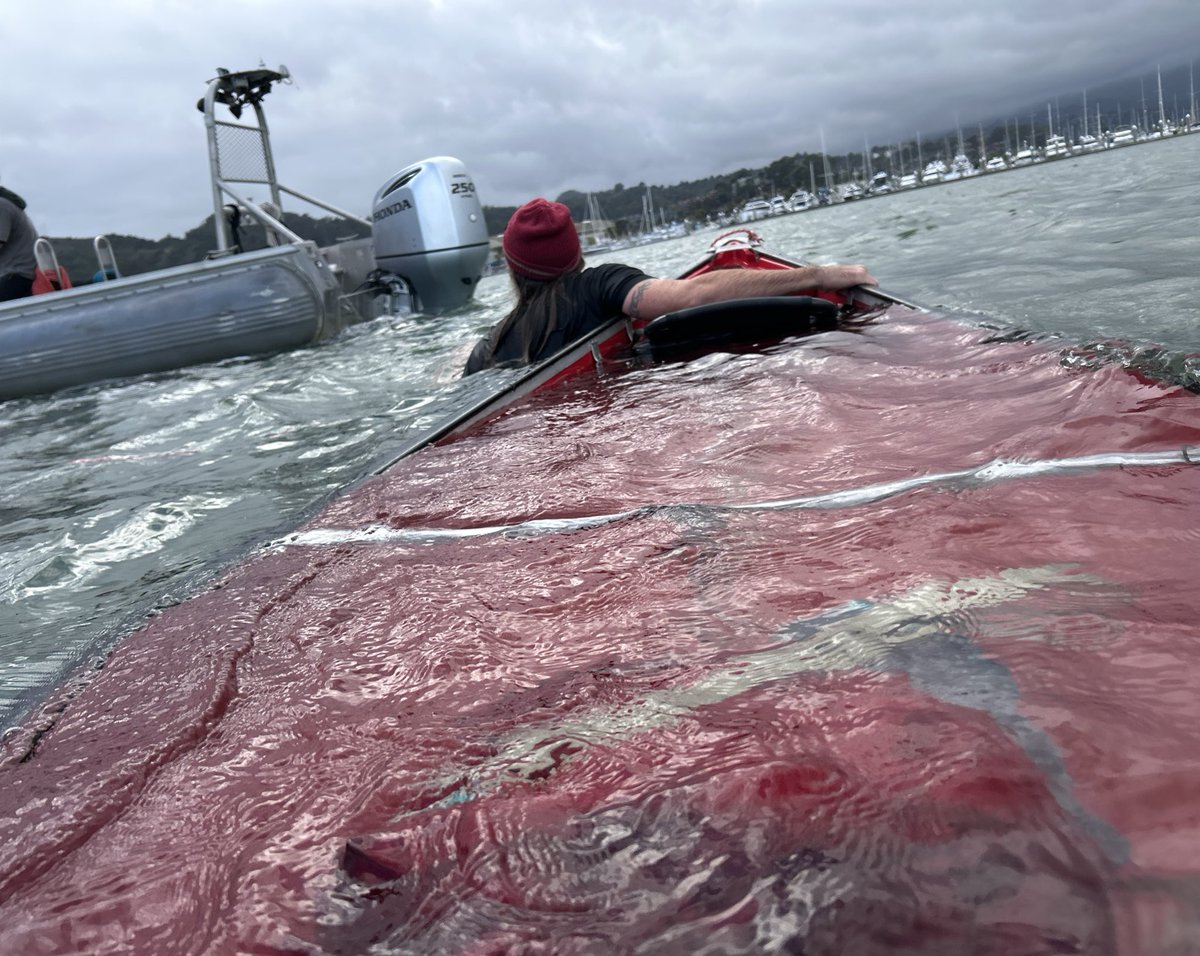 silliest_gooser's tweet image. #capsized #livingthedream #tillgoesforaswim