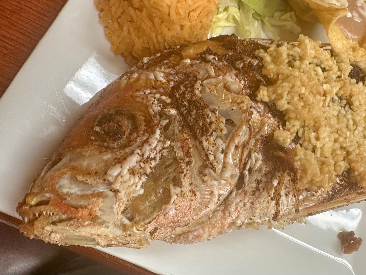 He’s giving me resting fish face 😂