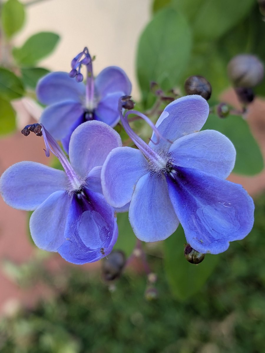 ⭕️和バラ　『な⚪︎』 1540_1200x1200.jpg?v=1676534004