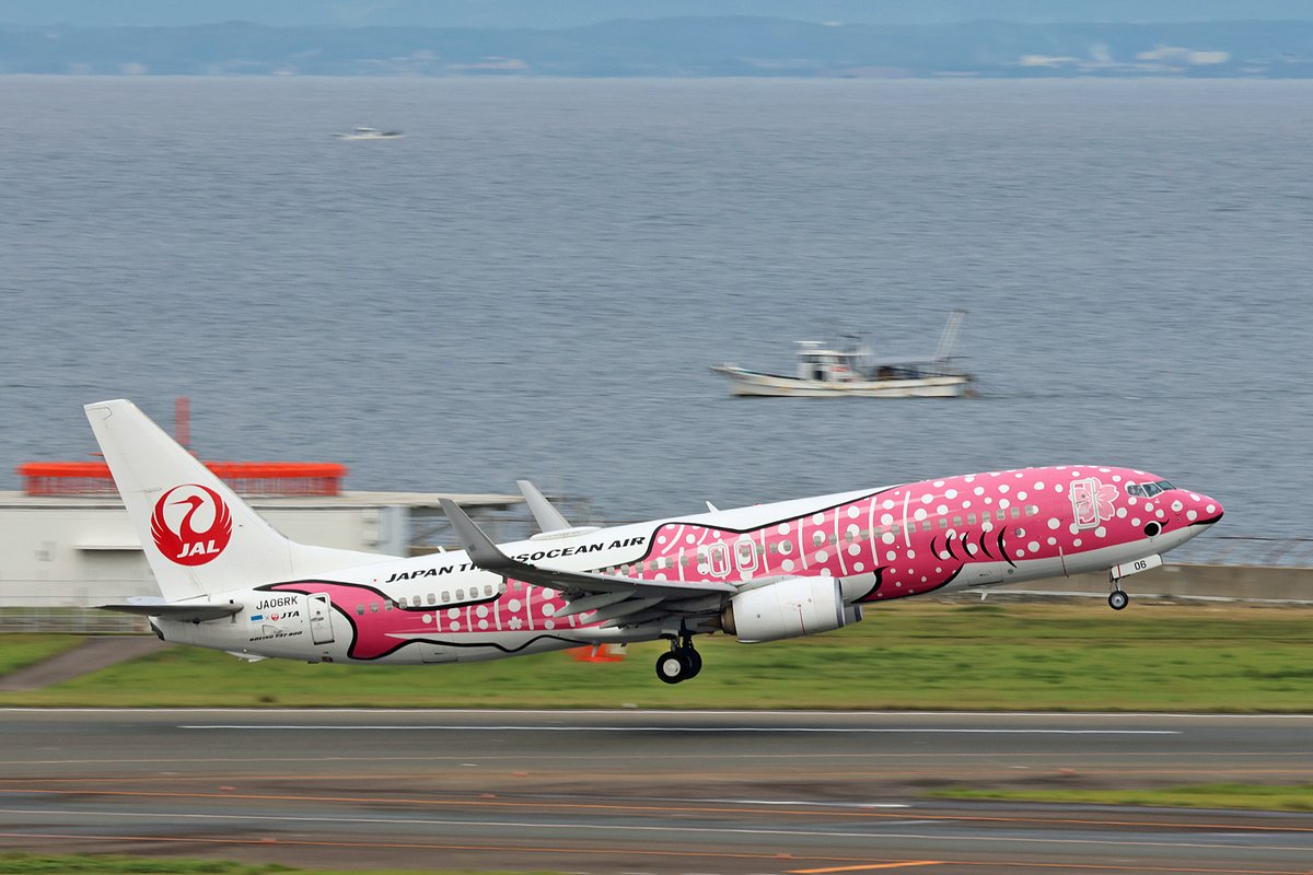 今朝の朝のJTAの沖縄便はさくらジンベエでした。スポットに駐機してい