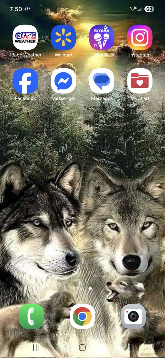 The wallpaper on my phone. I sure do love my wolves 🐺😍❤️ Beautiful