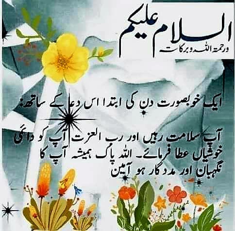 Shaheen🇵🇰 tweet media