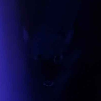 I can see you

📸: <a href="/Shibi1nu/">Shibi1nu</a>