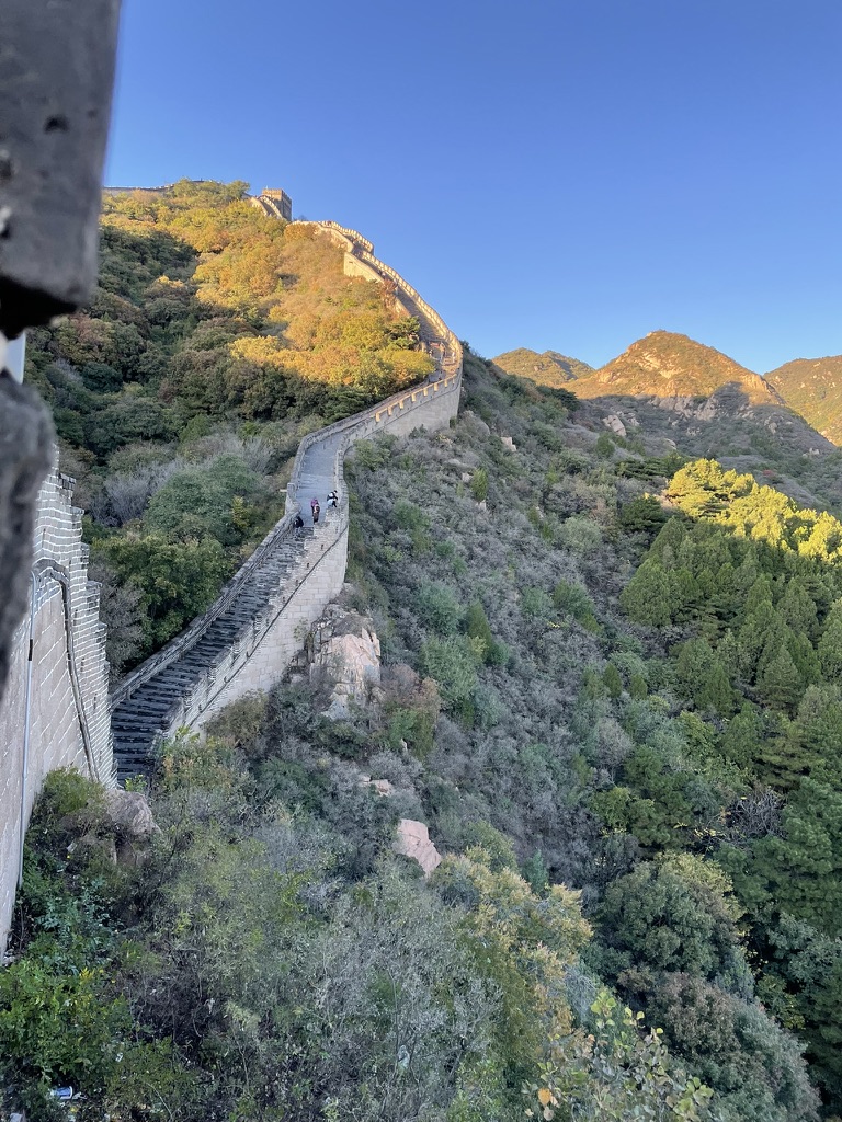 Yohei Cho tweet media