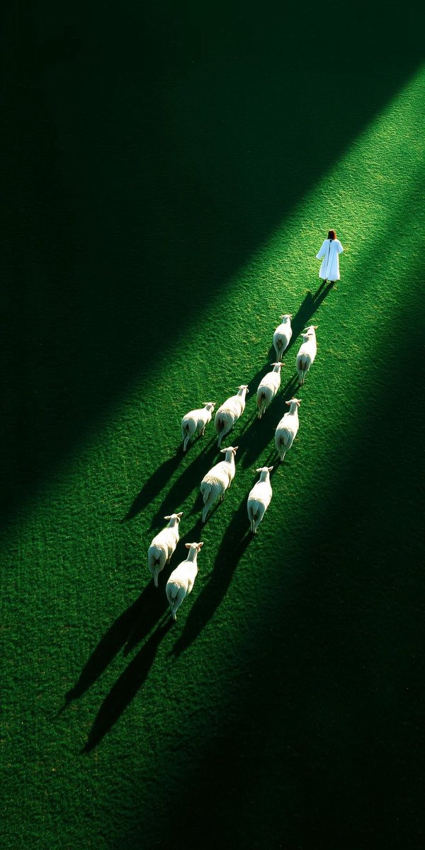 figmanboi's tweet image. The image vs the design 
Got the picture from @Dee_Floki 
What an inspo