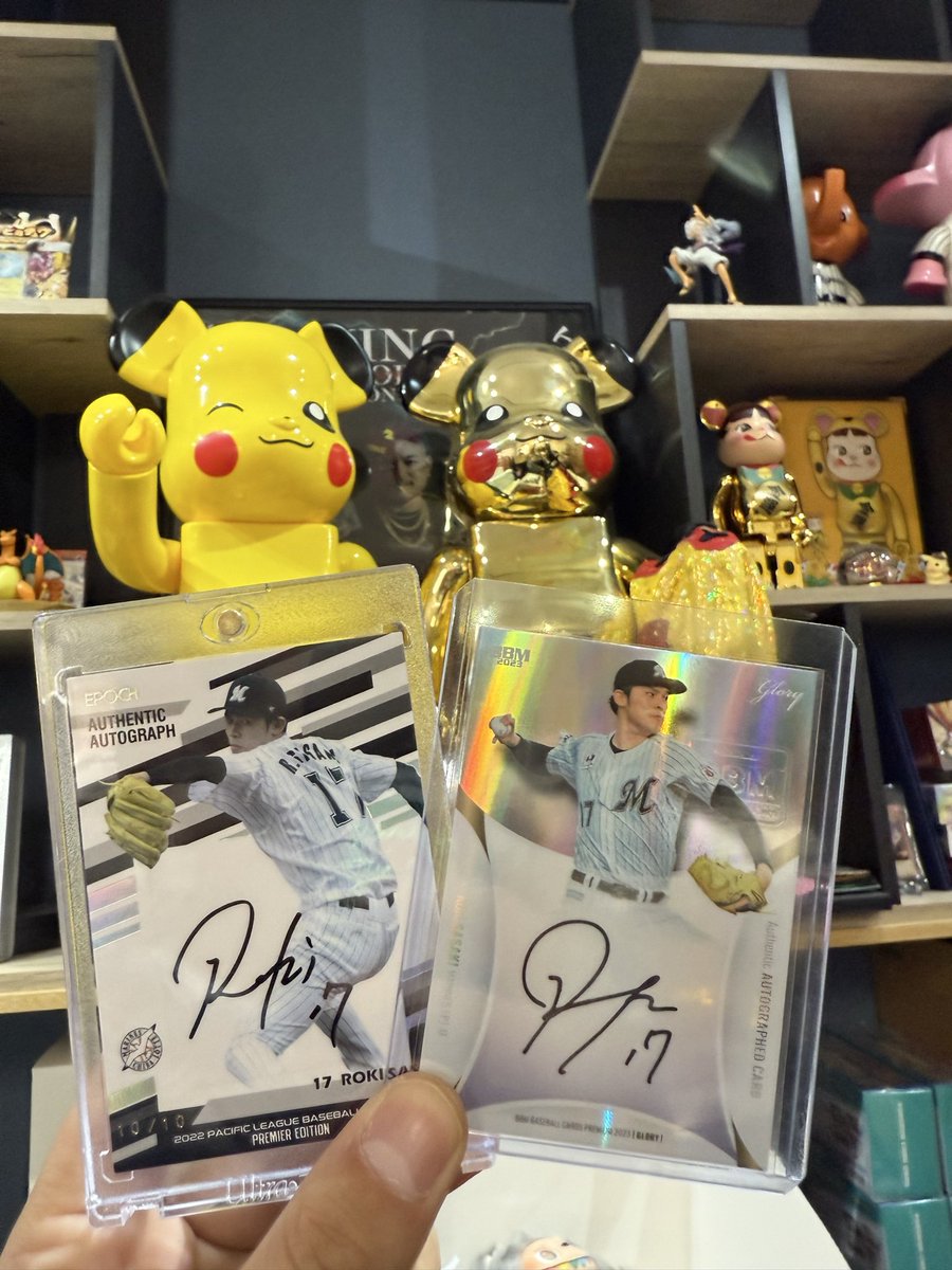 ポケギャン(前頭部ピンクゴリラ) (@yappu29) / Posts / X