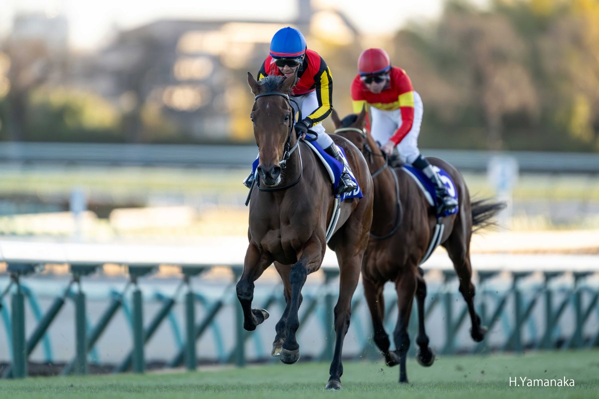 JRAウインズ (@jrawinsofficial) / Posts / X