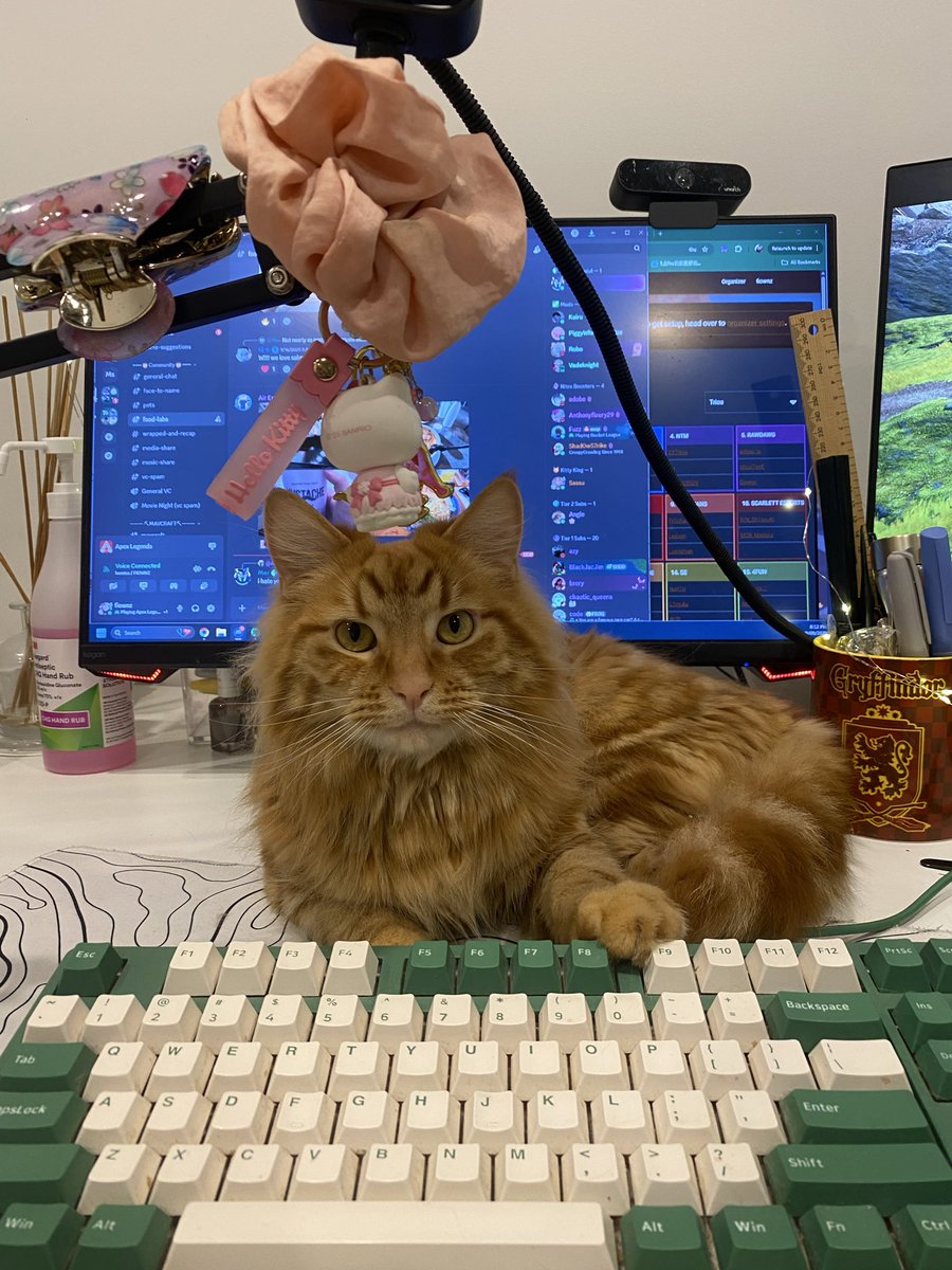 fiiiiifs's tweet image. Live???? twitch.tv/fiownz