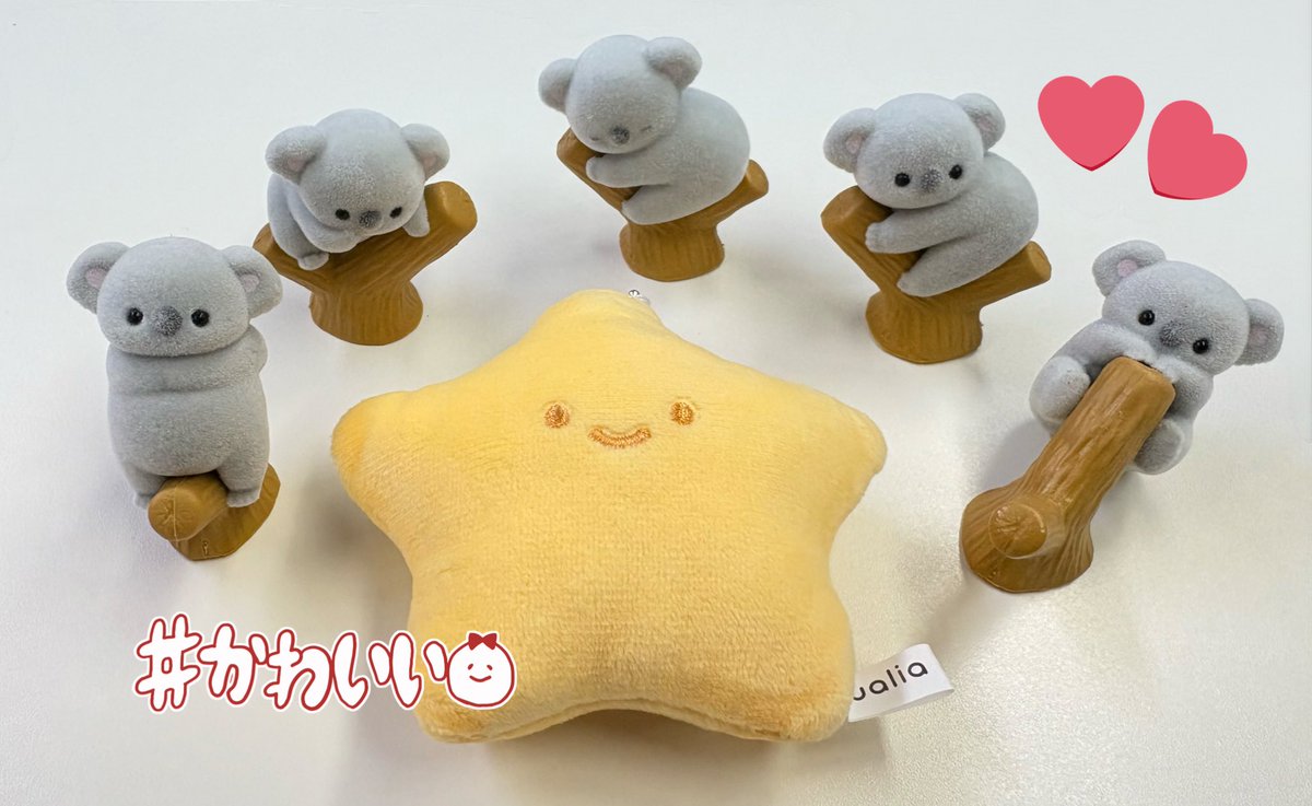 sg_u3u's tweet image. メルカリでかったものが届いた🐨⭐️
ぎゃんかわあああ！！！！！