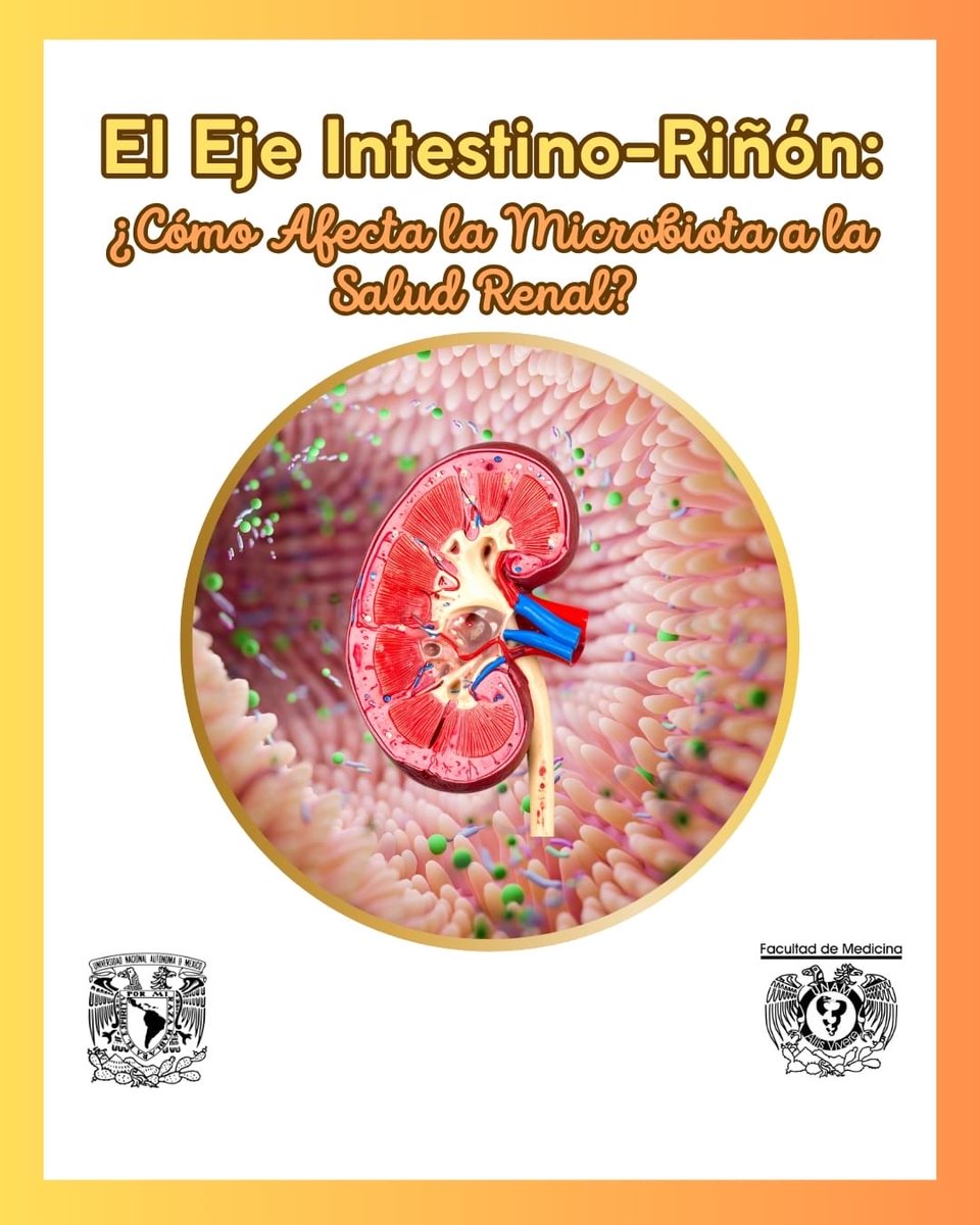 Sociedad Estudiantil de Nefrología tweet media