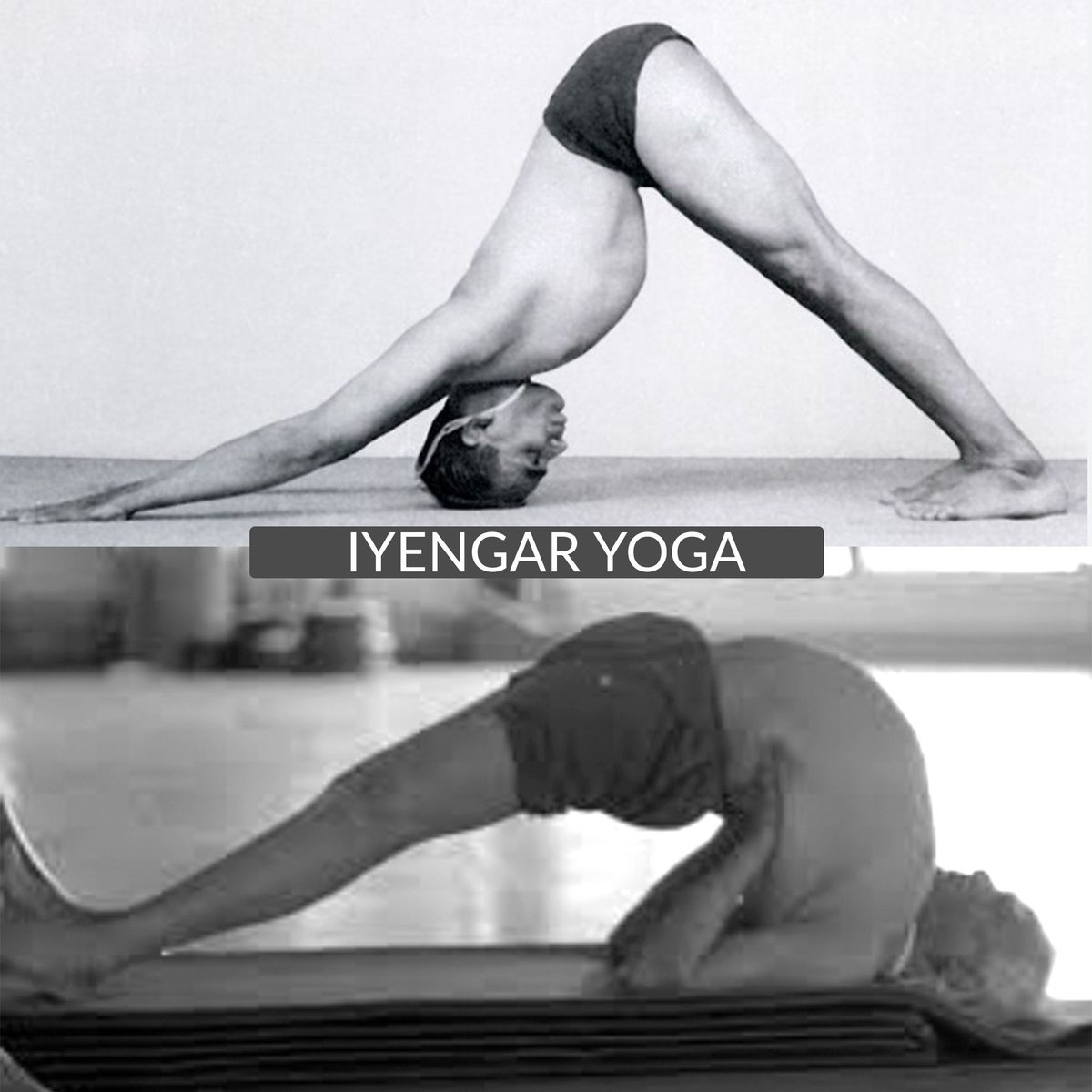 VeunChin's tweet image. The Trapezius: A kite-shaped muscle links directly to the brain via Cranial Nerve XI — shaping posture, breath &amp;amp; alertness.
In stress, shoulders lift &amp;amp; breath tightens.
Iyengar Yoga teaches us to release, realign &amp;amp; lighten the mind. 
#IyengarYoga #MindfulAlignment