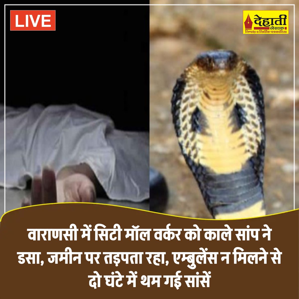 Varanasi news: वाराणसी में सिटी मॉल वर्कर को काले सांप ने डसा, जमीन पर तड़पता रहा, एम्बुलेंस न मिलने से दो घंटे में थम गई सांसें 

यहां पढ़ें:dehatilekhak.co.in/?p=1082

खबरों को पढ़ने के लिए लाइक, शेयर करें "देहाती लेखक" डिजिटल मीडिया
#dehatilekhak #LatestNews #VaranasiPolice